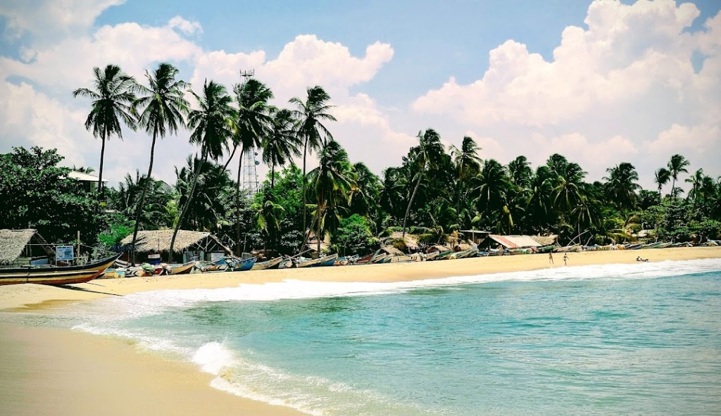 Arugam Bay